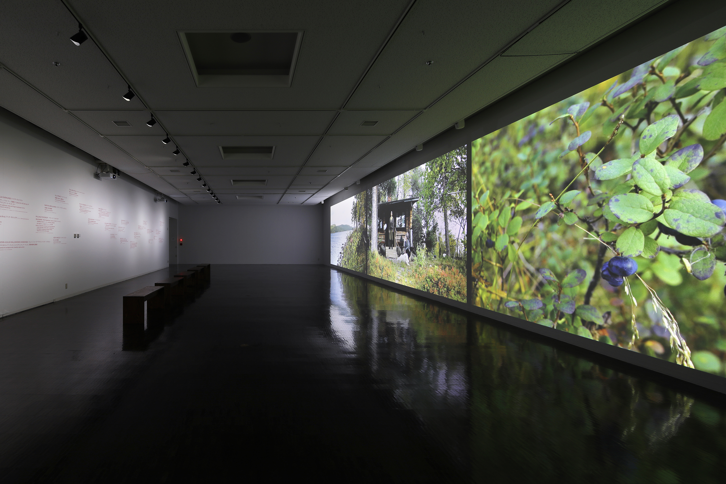 グスタフソン&ハーポヤ「Becoming──地球に生きるための提案」展示風景/撮影:来田猛