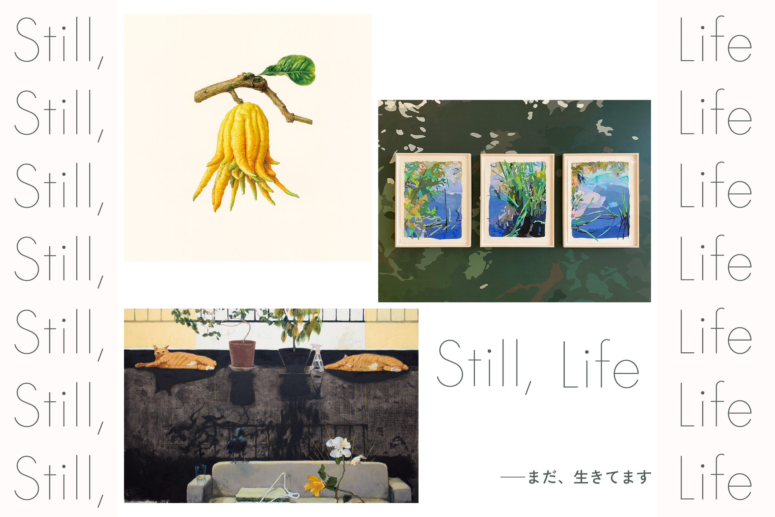 Still Life まだ 生きてます 京都市立芸術大学ギャラリー Kcua Kyoto City University Of Arts Art Gallery Kcua